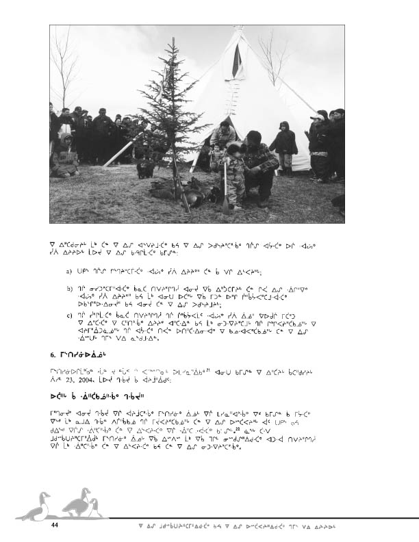 11923 CNC Report 2004_CREE - page 44